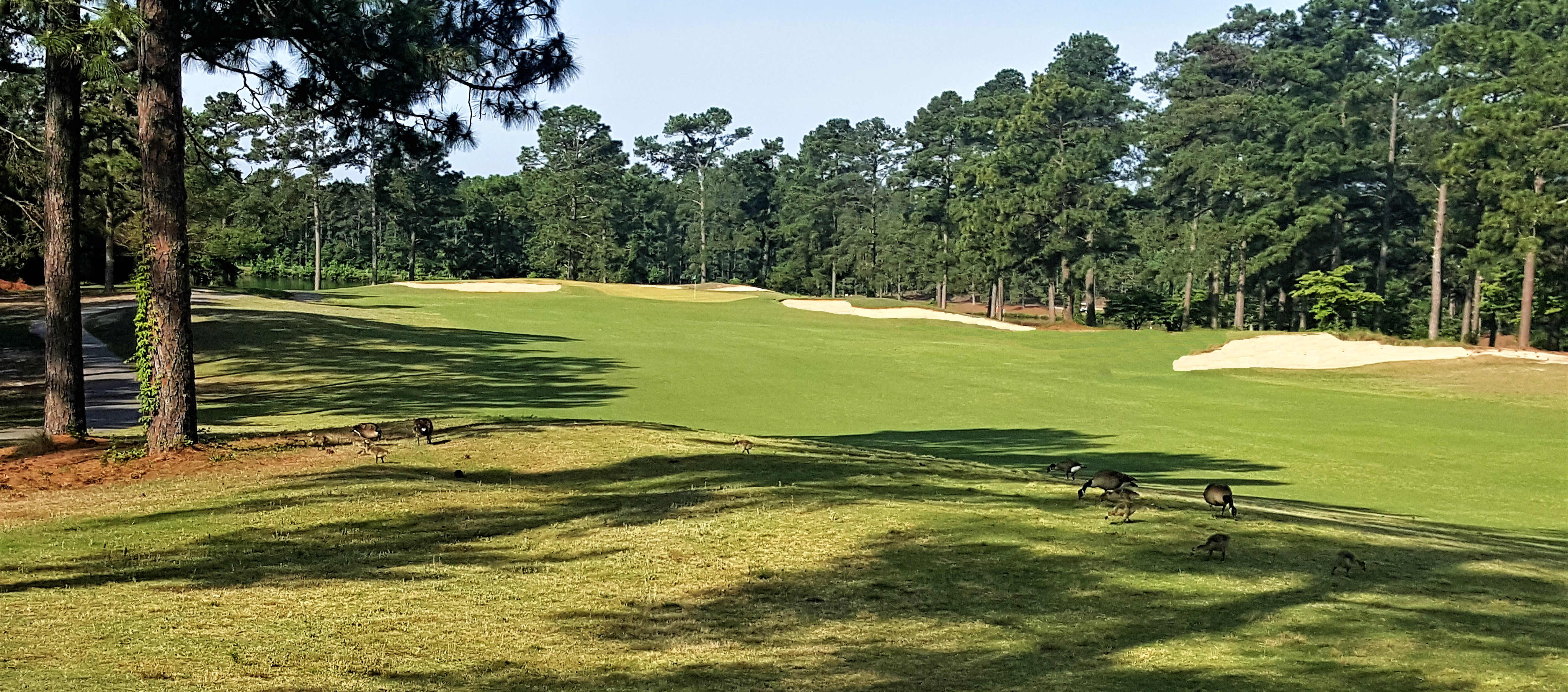 Foxfire Golf & Resort Red Fox Review By David Theoret