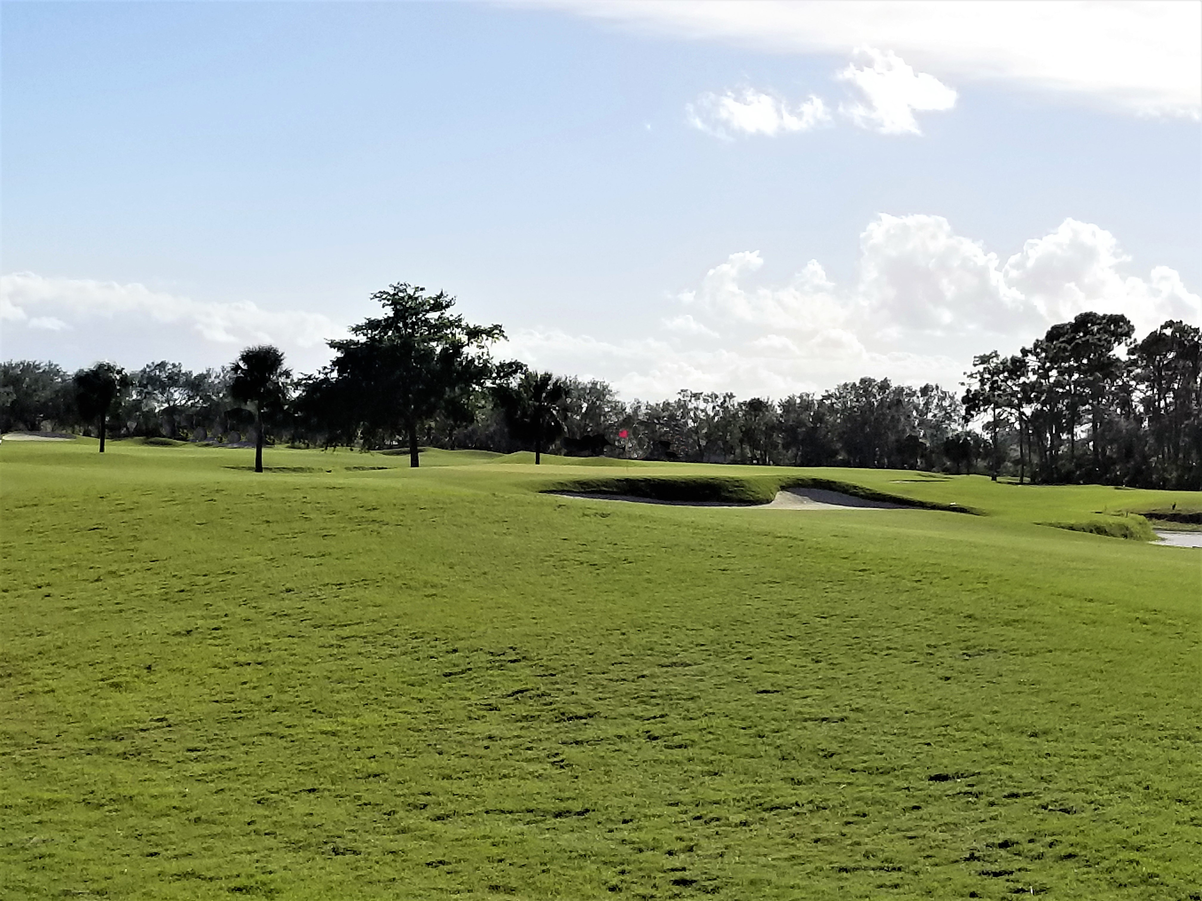 Pelican's Nest Golf Club By David Theoret