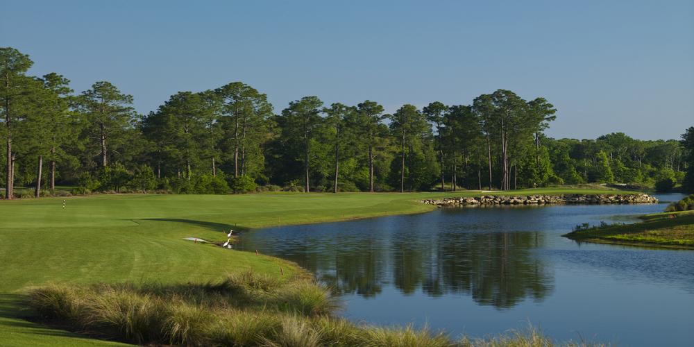 The King & Bear Course at World Golf Village By David Theoret