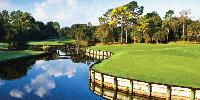 Innisbrook Golf Resort Review