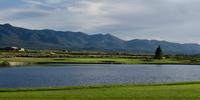 golf article