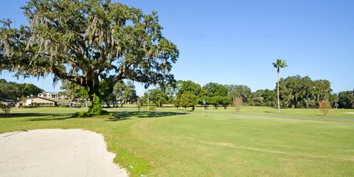 golf article