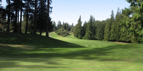 The Cedars at Dungeness