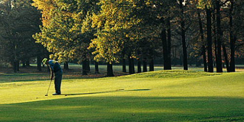 Boots Randolph Golf Course