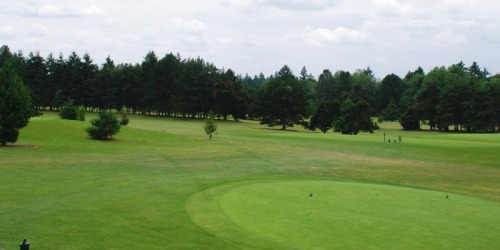Sandelie Golf