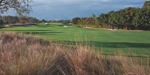Emerald Dunes
