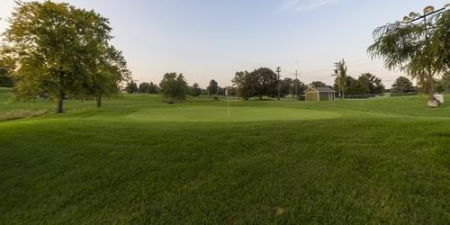 Betty Allison at Oscar Blom Golf Course
