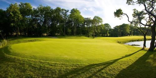 Cameron House - The Wee Demon