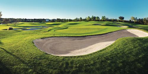 Innisbrook Resort - South Course Indiana golf packages