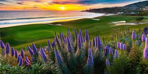 Monarch Beach Golf Links