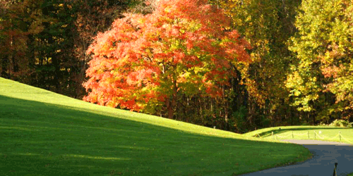Whitney Farms Golf Club