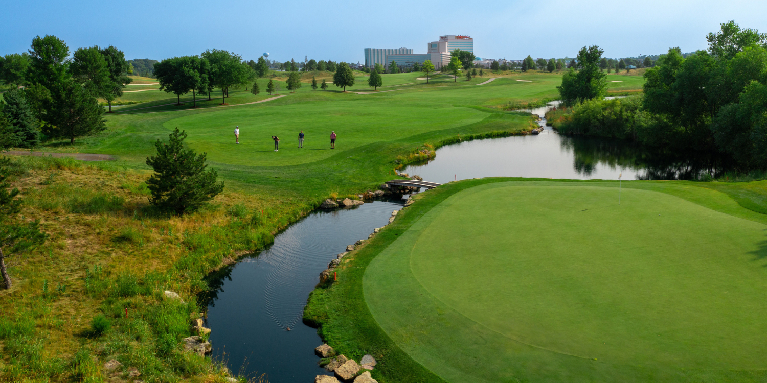 The Meadows at Mystic Lake
