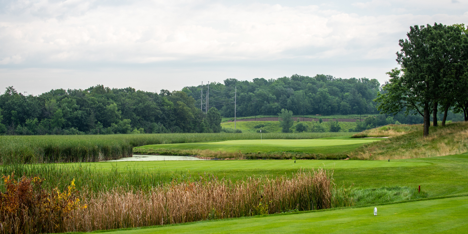The Meadows at Mystic Lake