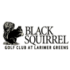Black Squirrel Golf Club
