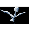 Shorehaven Golf Club Logo